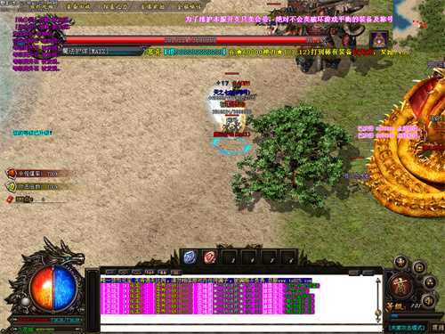 当你遇见BOOS魔法护体的时候一定要注意安全这个怪物攻击速度超快